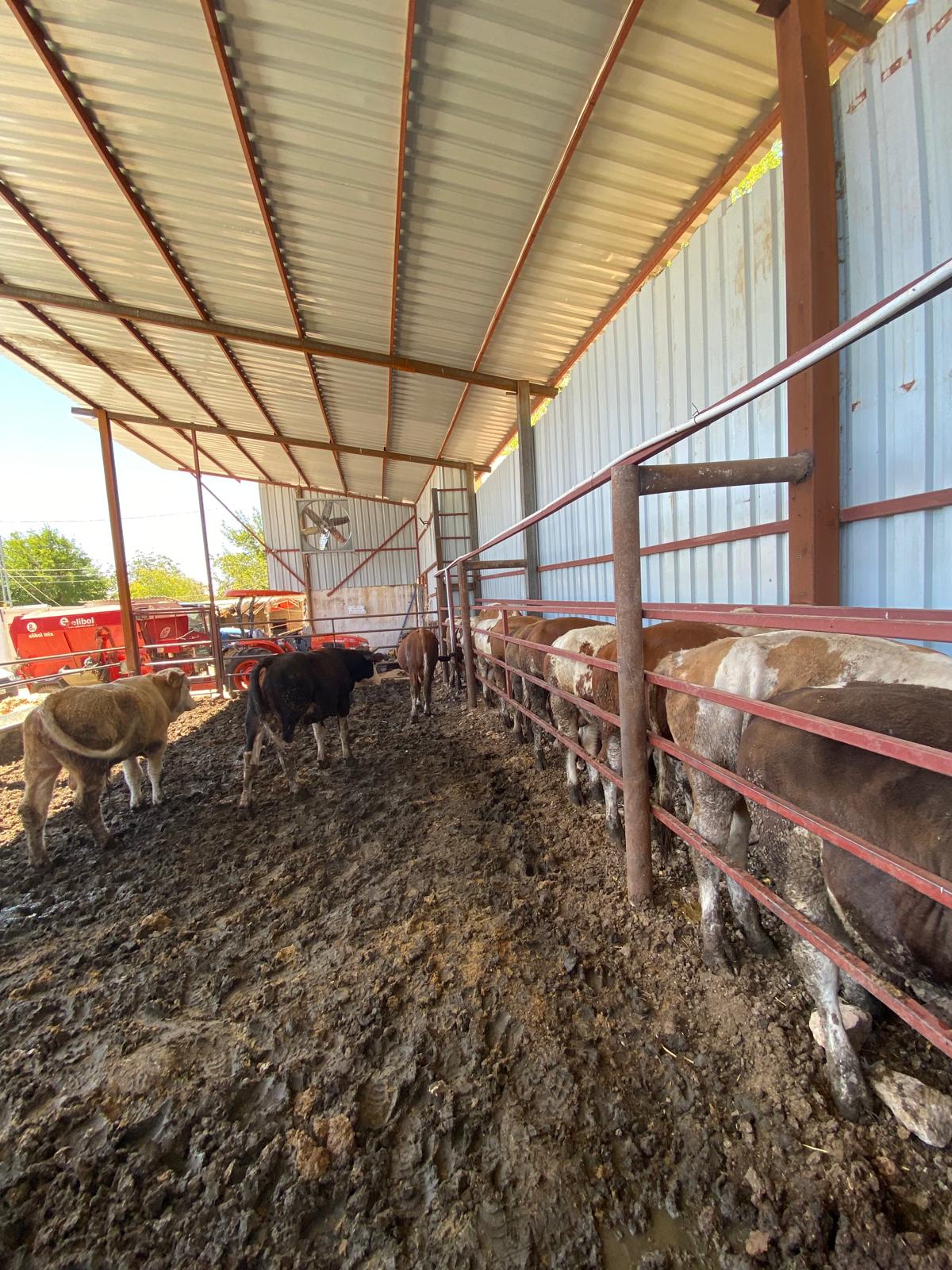 Kesim Yerimizden Bazı Görüntüler