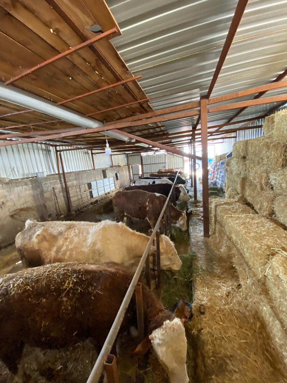 Kesim Yerimizden Bazı Görüntüler